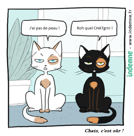 pas de peau pas de chocolat