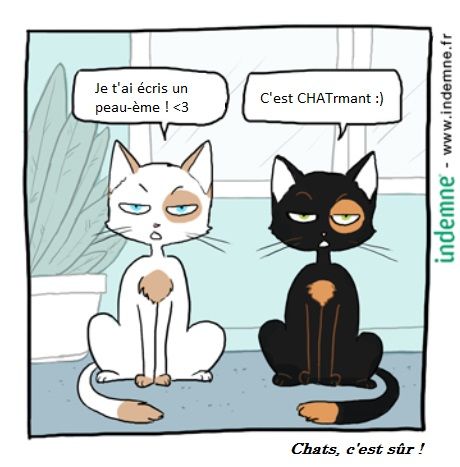 Peau-ème_chat-rmant